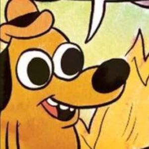 Meet your Posher, Sidney